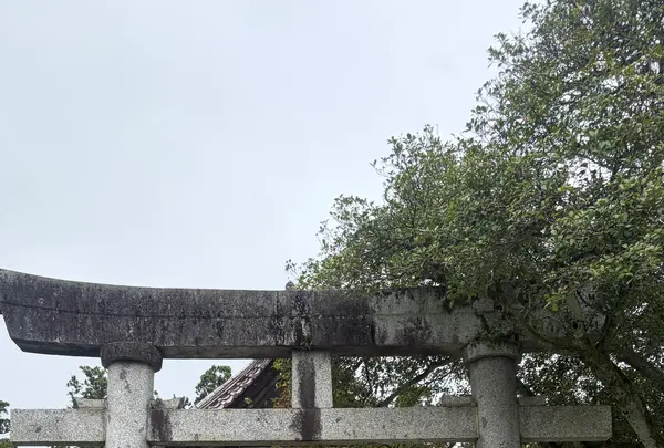 荘内神社の写真・動画_image_815330
