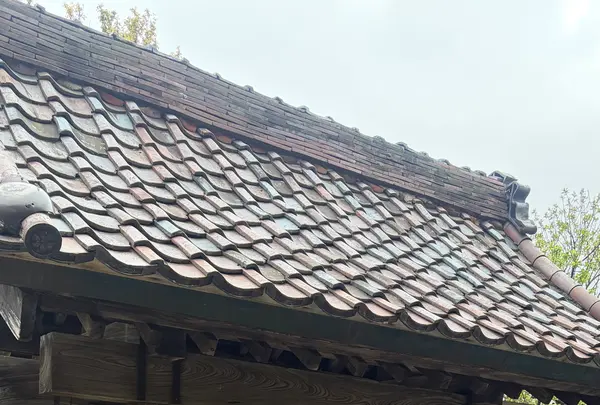 藩校致道館の写真・動画_image_815336