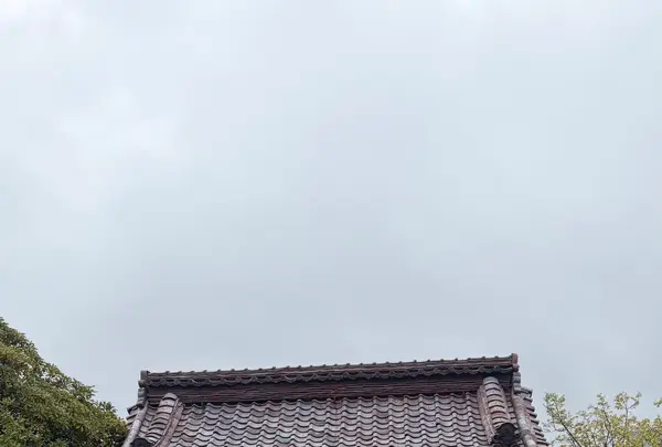 藩校致道館の写真・動画_image_815337