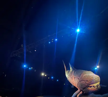 S.E.A. Aquariumの写真・動画_image_815543