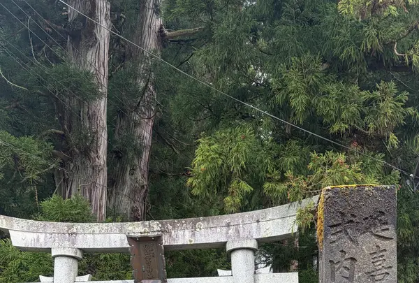由豆佐売神社の写真・動画_image_815866