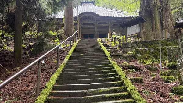 由豆佐売神社の写真・動画_image_815867