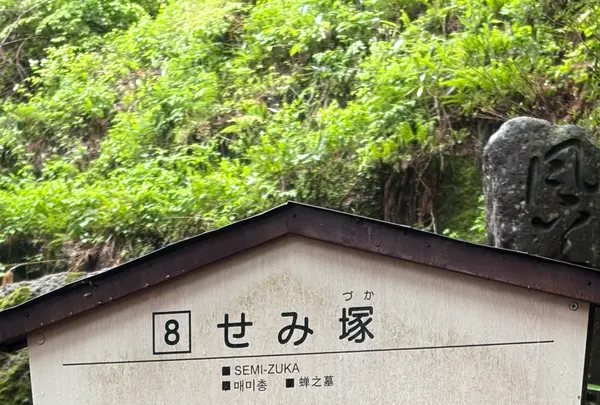 宝珠山立石寺の写真・動画_image_815880
