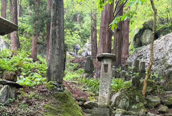 宝珠山立石寺の写真・動画_image_815881
