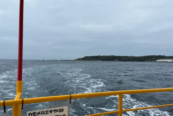 水中観光船「にじいろさかな号」の写真・動画_image_818345
