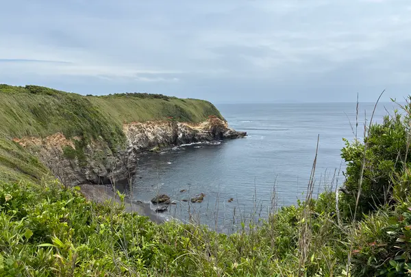 城ヶ島公園の写真・動画_image_818353