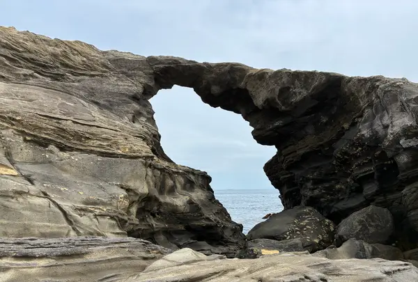 城ヶ島 馬の背洞門の写真・動画_image_818355