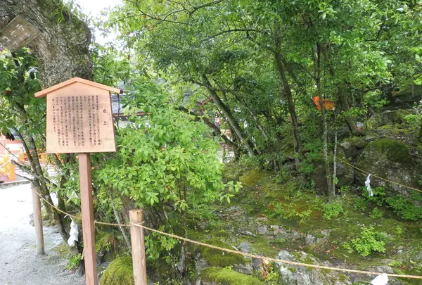 上賀茂神社（賀茂別雷神社）の写真・動画_image_82031