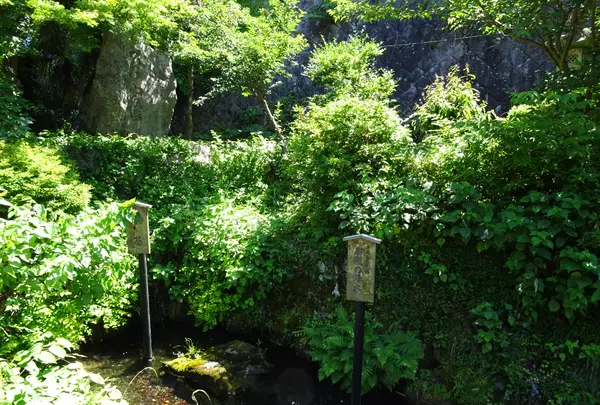 居醒の清水の写真・動画_image_820706