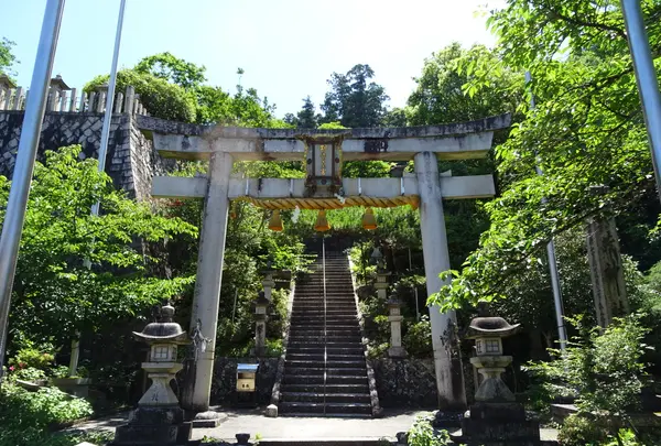 加茂神社の写真・動画_image_820709