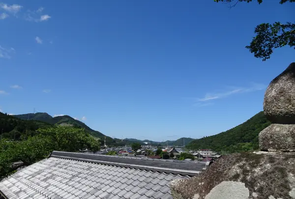 加茂神社の写真・動画_image_820713