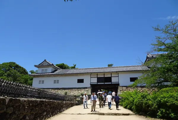 彦根城の写真・動画_image_820736