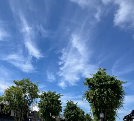 夢京橋キャッスルロードの写真・動画_image_820740