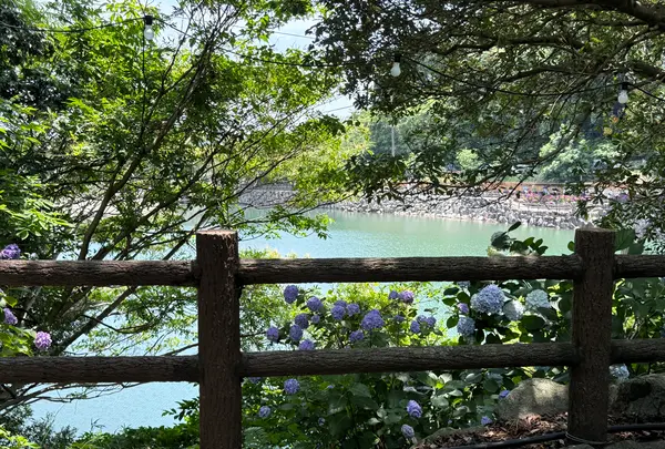 形原温泉あじさいの里の写真・動画_image_820938