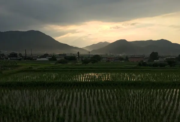 亀岡市の写真・動画_image_82115