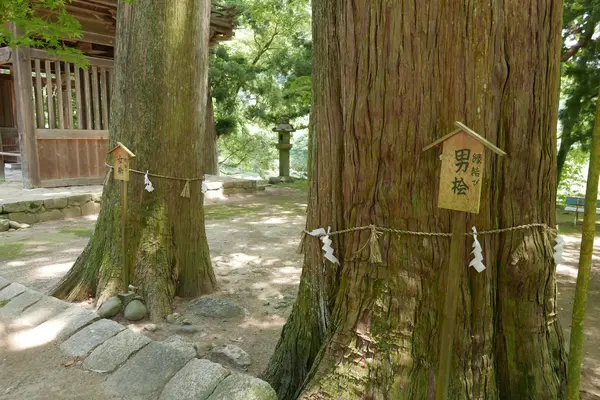 洲原神社の写真・動画_image_82121