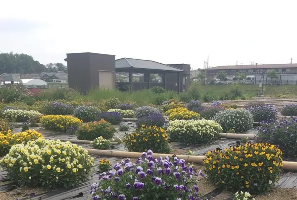 盛岡市高松地区保健センターの写真・動画_image_82123