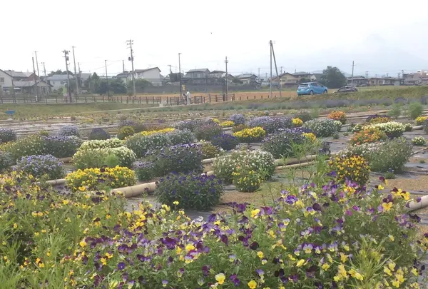 盛岡市高松地区保健センターの写真・動画_image_82124