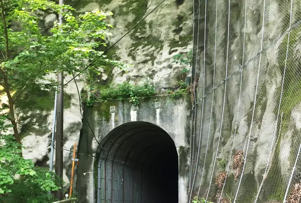 ユーシン渓谷の写真・動画_image_82238