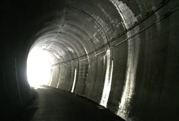 ユーシン渓谷の写真・動画_image_82240