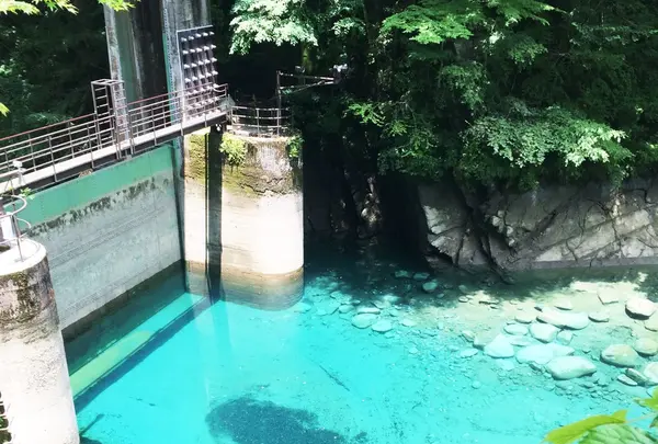 ユーシン渓谷の写真・動画_image_82243