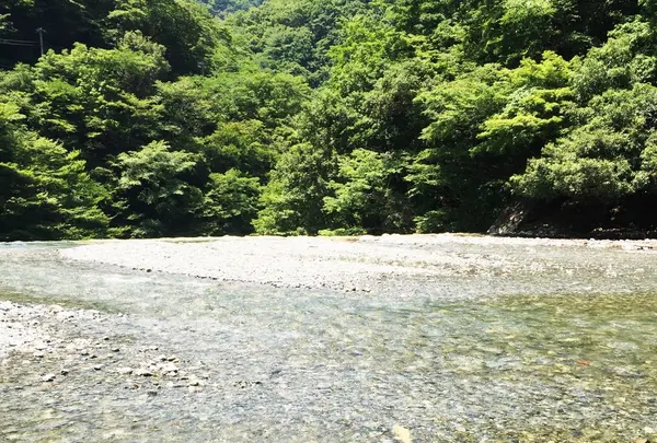 ユーシン渓谷の写真・動画_image_82245
