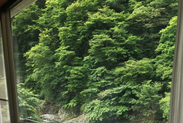 かくれ湯の里 信玄館の写真・動画_image_82272