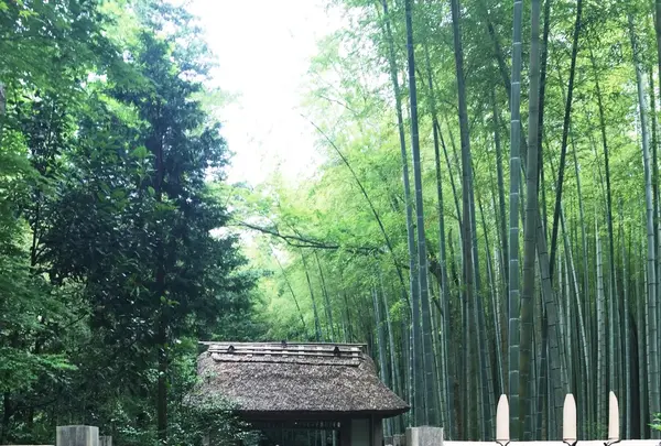 とらや工房の写真・動画_image_82298