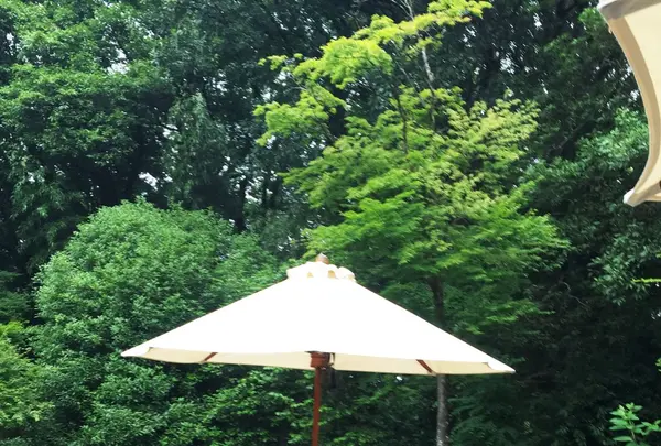 とらや工房の写真・動画_image_82300