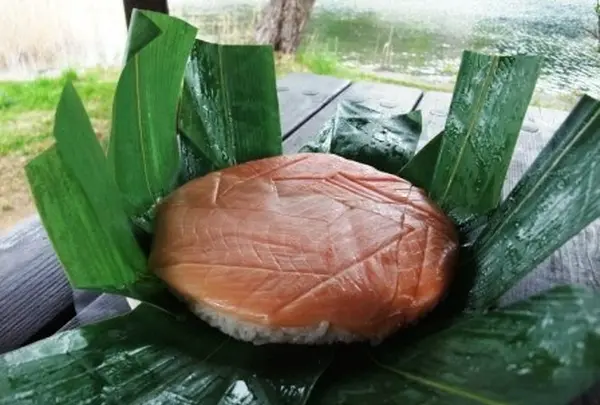 木崎湖モダンボートの写真・動画_image_82343