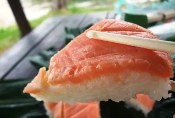 木崎湖モダンボートの写真・動画_image_82345