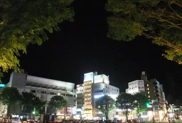 武田信玄公像の写真・動画_image_82446