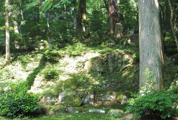 平泉寺白山神社の写真・動画_image_82511