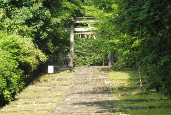 平泉寺白山神社の写真・動画_image_82512