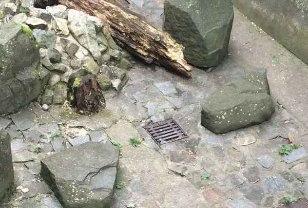 チェスキー クルムロフの写真・動画_image_82597