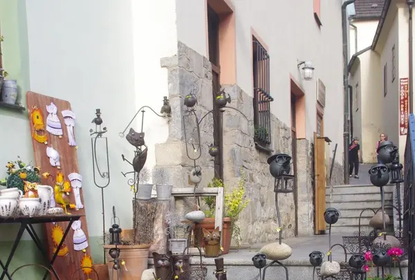 チェスキー クルムロフの写真・動画_image_82601