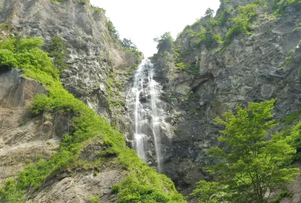 白山白川郷ホワイトロードの写真・動画_image_82657