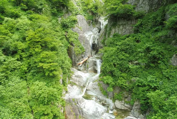 白山白川郷ホワイトロードの写真・動画_image_82661