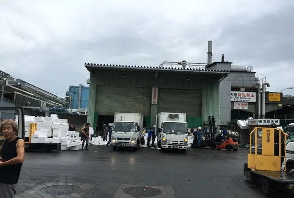 東京都中央卸売市場築地市場の写真・動画_image_82673