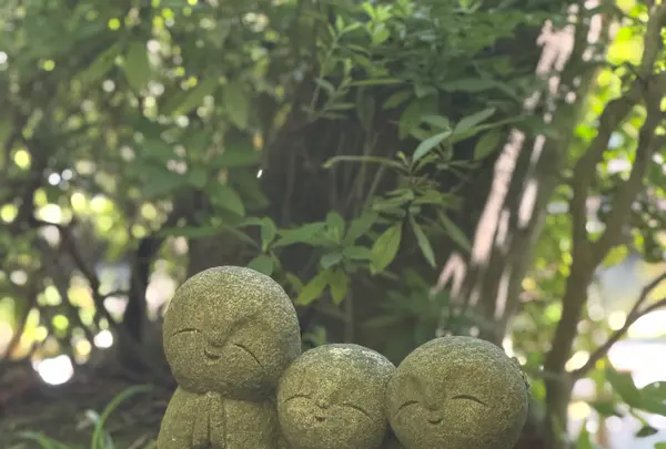 長谷寺の写真・動画_image_827385