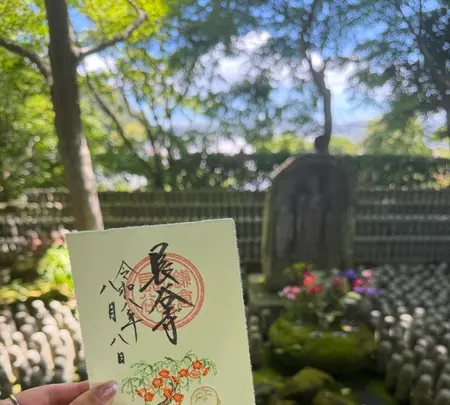 長谷寺の写真・動画_image_827386
