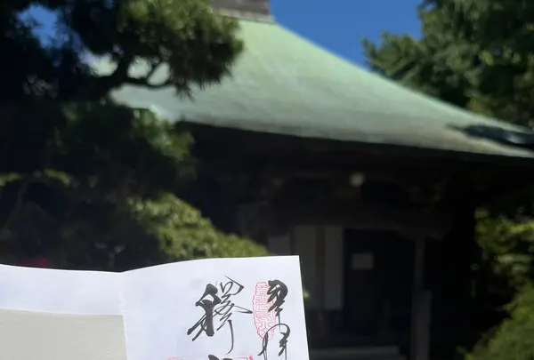 極楽寺の写真・動画_image_827388