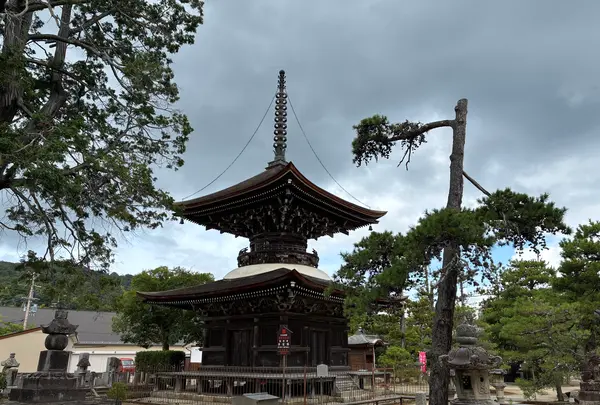 智恩寺の写真・動画_image_827511