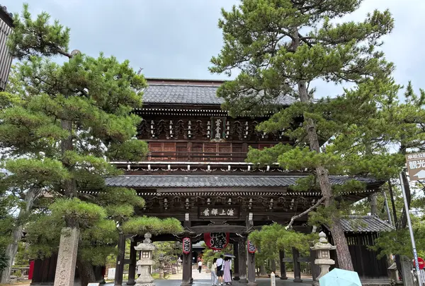 智恩寺の写真・動画_image_827516