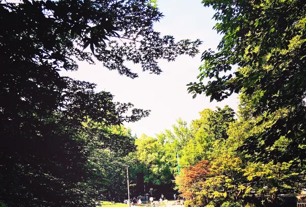 蚕糸の森公園の写真・動画_image_82777