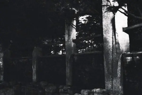 蚕糸の森公園の写真・動画_image_82778