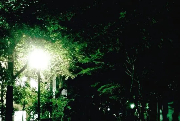 蚕糸の森公園の写真・動画_image_82780