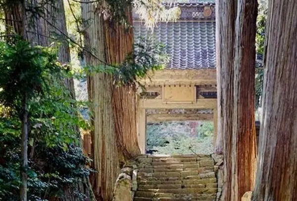 清水寺の写真・動画_image_82888