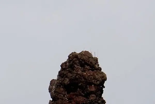 椿尾の写真・動画_image_82900