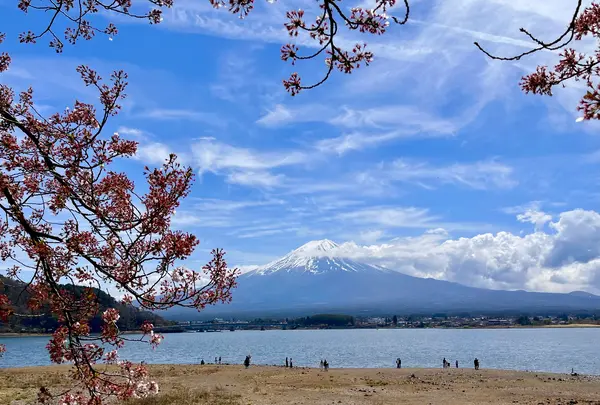 河口湖の写真・動画_image_829428